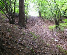 5. Foto lokality Alte šance